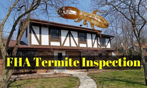 fha termite inspection