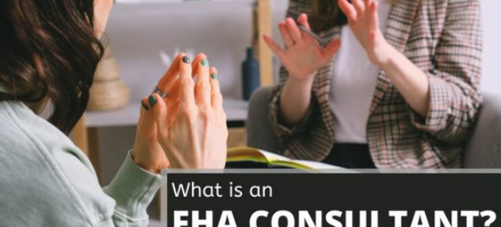 What is an FHA 203k Consultant? – Role and Fees